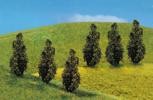 Туя премиум, 40 мм, 6 шт