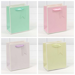 Пакет подарочный 12х15х6.7см Премиум однотонный в рамке (Микс)