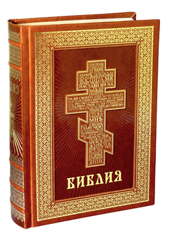 IMG_9649-PhotoRoom.png-PhotoRoom