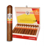 AVO Syncro Fogata Toro