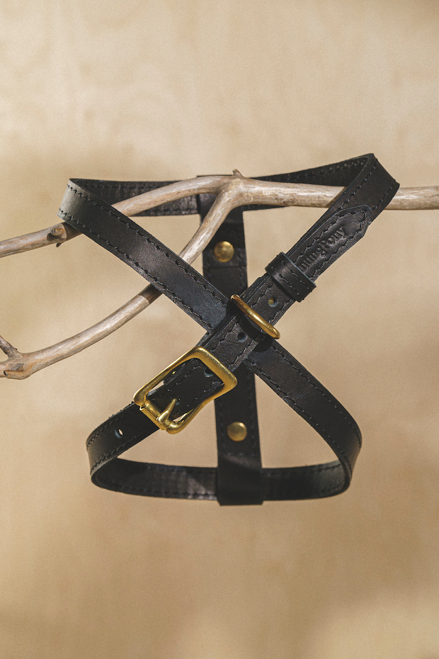 Цельнокожаная шлейка Черный