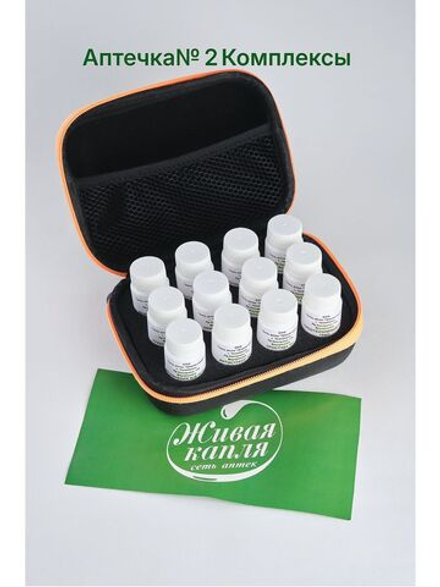 АПТЕЧКА ДОРОЖНАЯ ГОМЕОПАТИЧЕСКАЯ № 2 (комплексы)