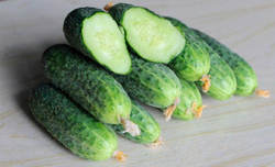 Огурец Беттина F1 7шт Мировые Семена VITA GREEN