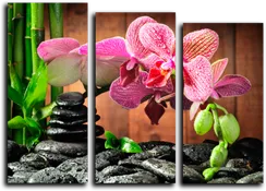 Модульная картина "Орхидея"