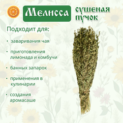 Мелисса лимонная пучок.