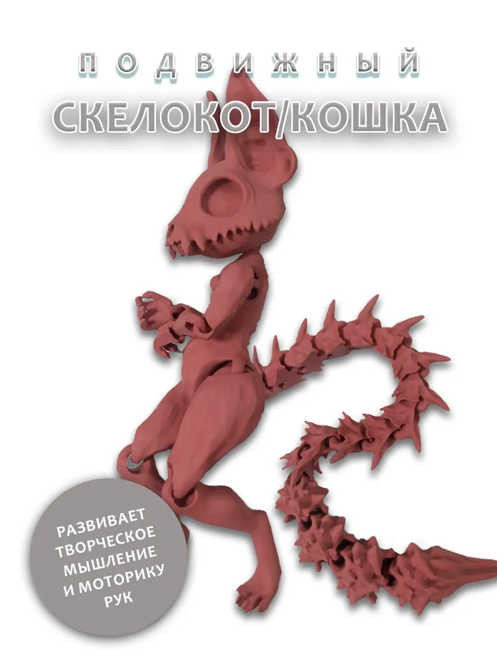 Скелет Кошки