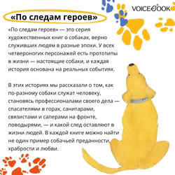 Сенбернар Бэрри. Спасатель в горах