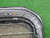 Капот Chery Tiggo 8 Pro (2021-2024)