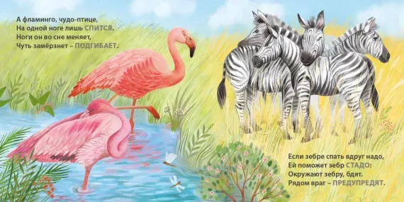 Книжки - картонки. Загадки - рифмы. Кто как спит