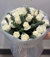 Новинки