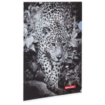Папка-уголок BRAUBERG "LEOPARD" А4 150 мкм цветная печать (12 штук в упаковке)