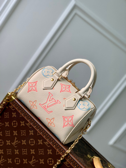 Louis Vuitton Speedy 20