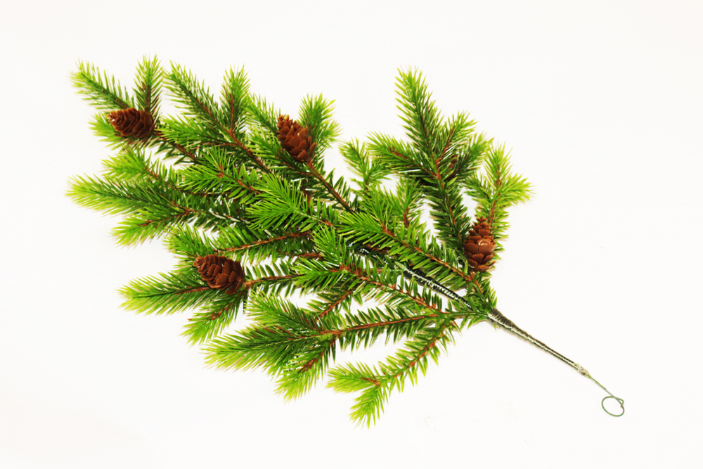 Ветка Еловая лапа с шишками