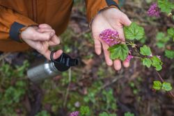 Бутылка Klean Kanteen Classic Narrow Flip Sport 18oz (532 мл) Brushed Stainless