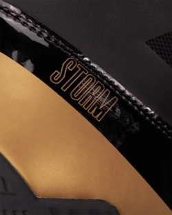 Боксёрки Fly Storm BOOTS Black & Gold