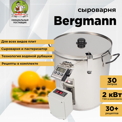 Сыроварня Bergmann 30 л с ТЭНом и автоматикой
