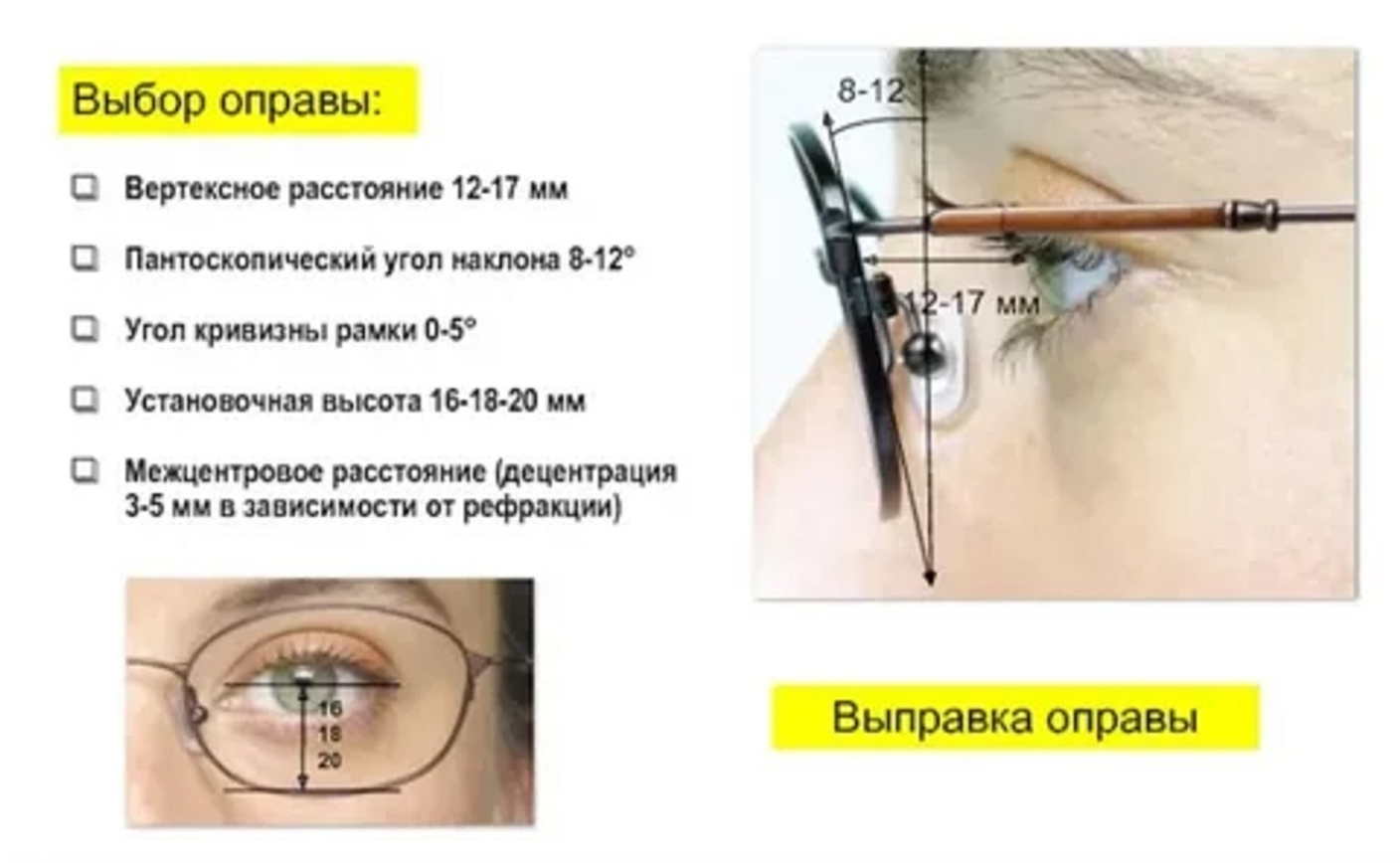 Как посадка оправы влияет на комфорт зрения: важные нюансы выбора