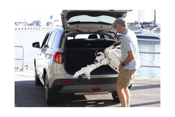 Мотор лодочный Suzuki DF6AS, белый