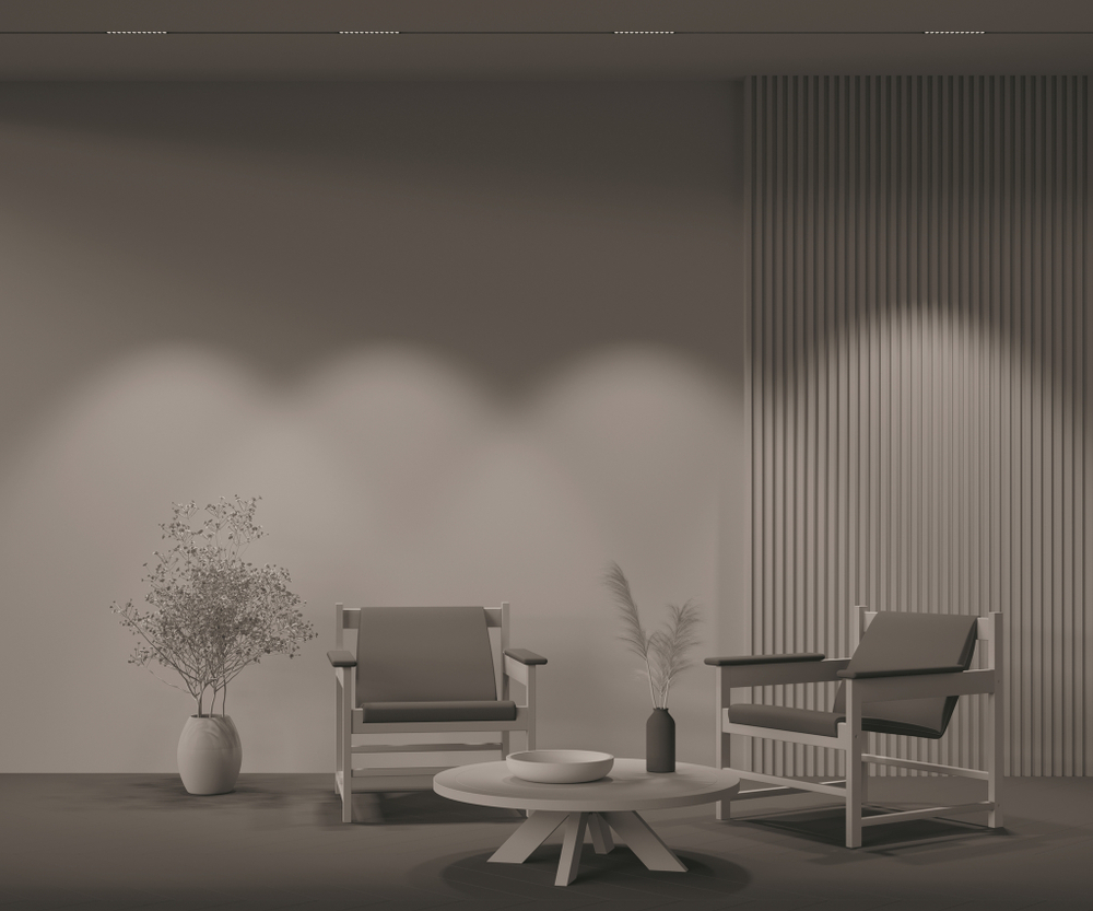 Магнитный трековый светильник Maytoni Points TR031-2-12W3K-B