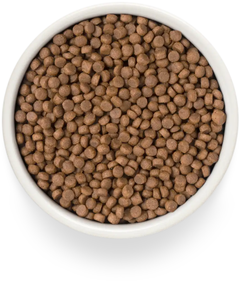 PREMIER Свежее филе лосося с индейкой для взрослых стерилизованных кошек