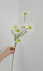 Хризантема / Арт 2433