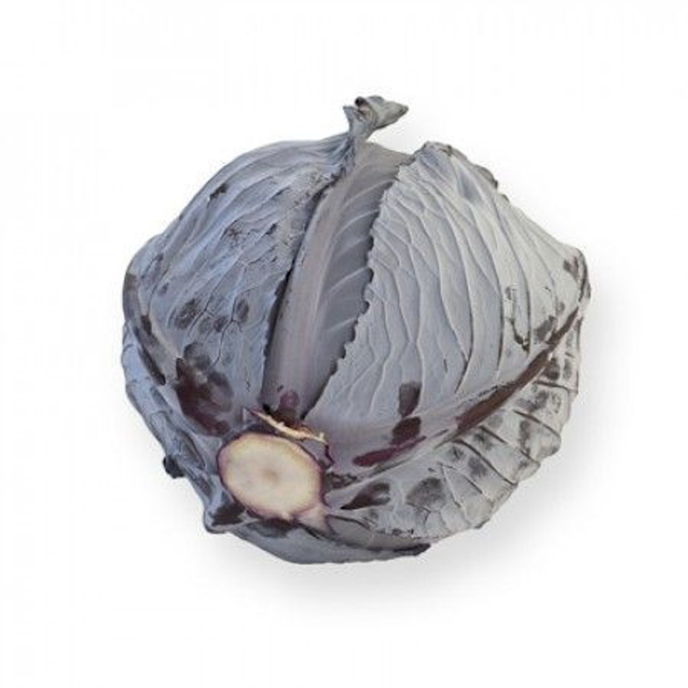 Родима F1 семена капусты краснокочанной (Rijk Zwaan / Райк Цваан)