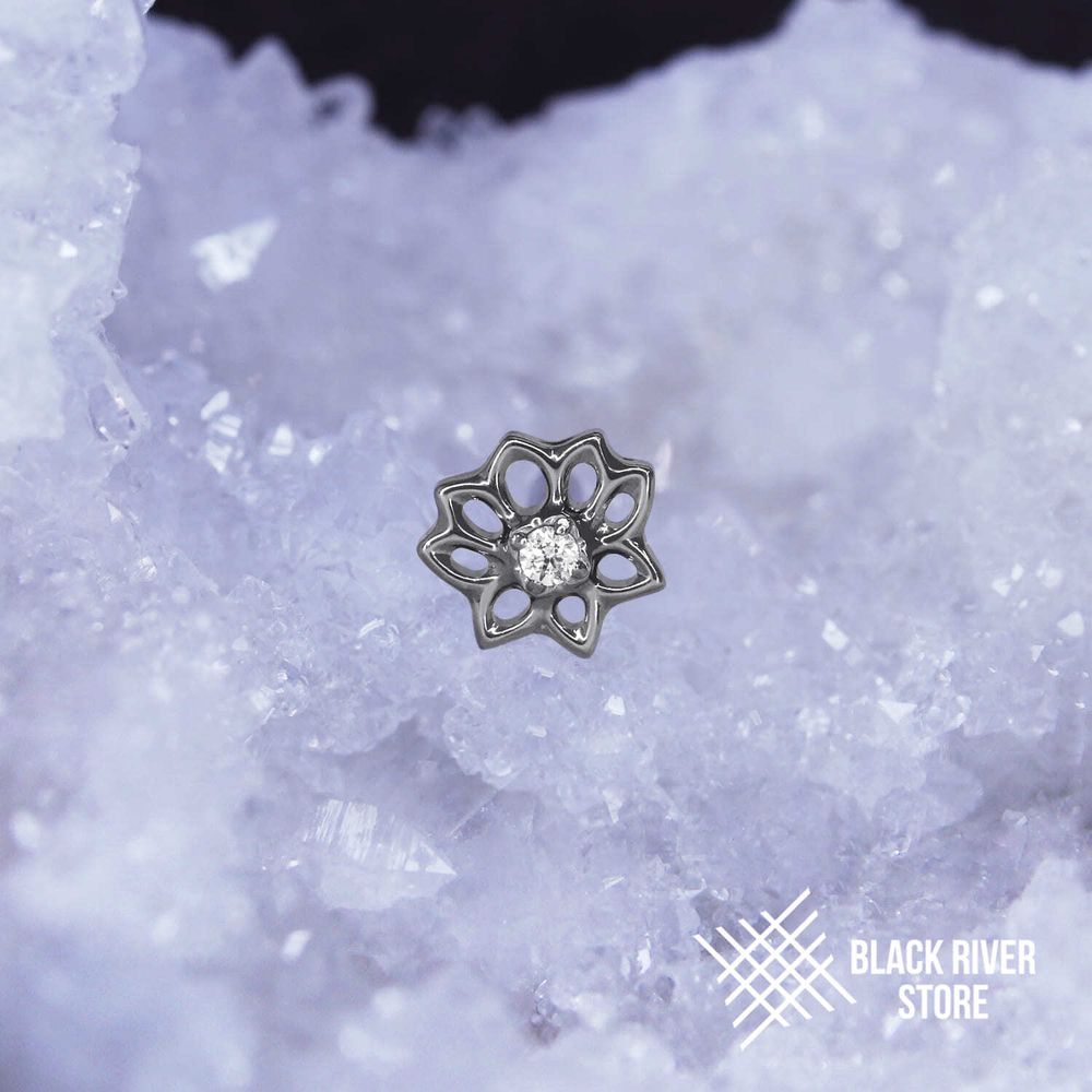 Flourish Crystal
