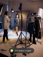 Вспышка студийная Raylab Rossa RS-300