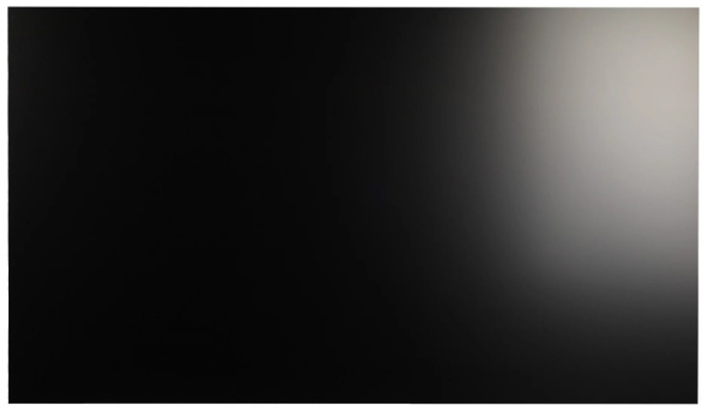 Панель LCD 55' Lumien LMW5509LH