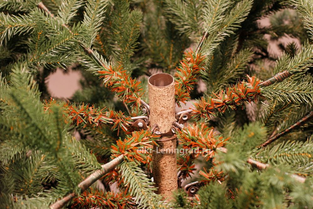 Искусственная ель «Берген» (Литая хвоя) 180 см / 1.8 м