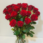 Роза красная Explorer