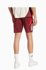 Шорты adidas FC Bayern 24/25 Training - бордовый