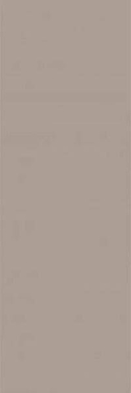 Настенная плитка Ekzotic fog (NB_0406)