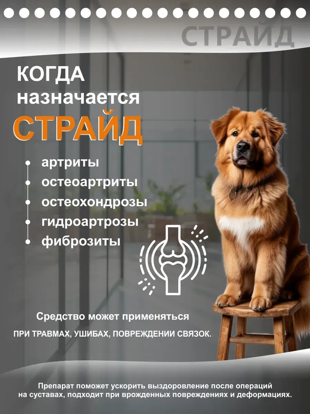 Страйд плюс для кошек 160 мл