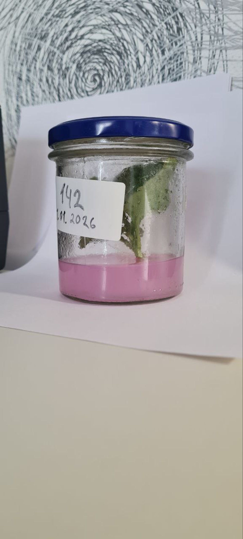 Гель для укоренения