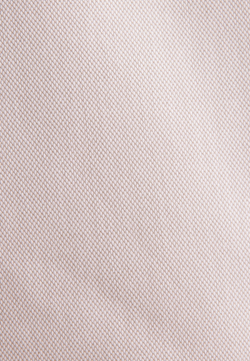 Seidensticke_251_06_01.646420 (1)