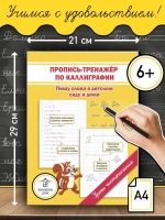 Комплект каллиграфических прописей для детей - 5 шт. Уроки чистописания