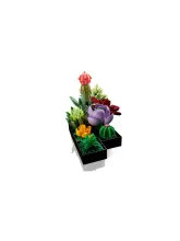Конструктор Botanical Collection 10309 Суккуленты