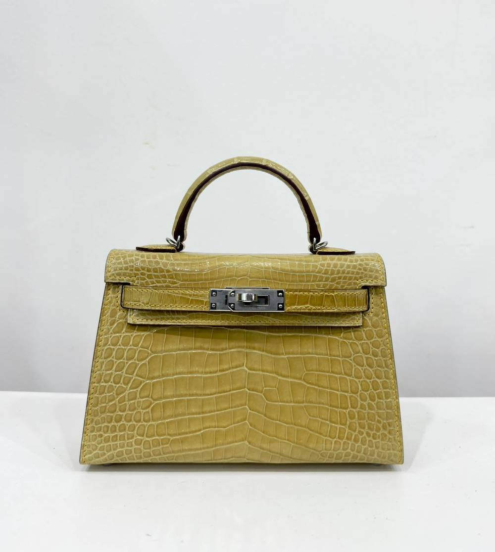 Сумка Hermes из кожи крокодила 20 см, арт. 466225411