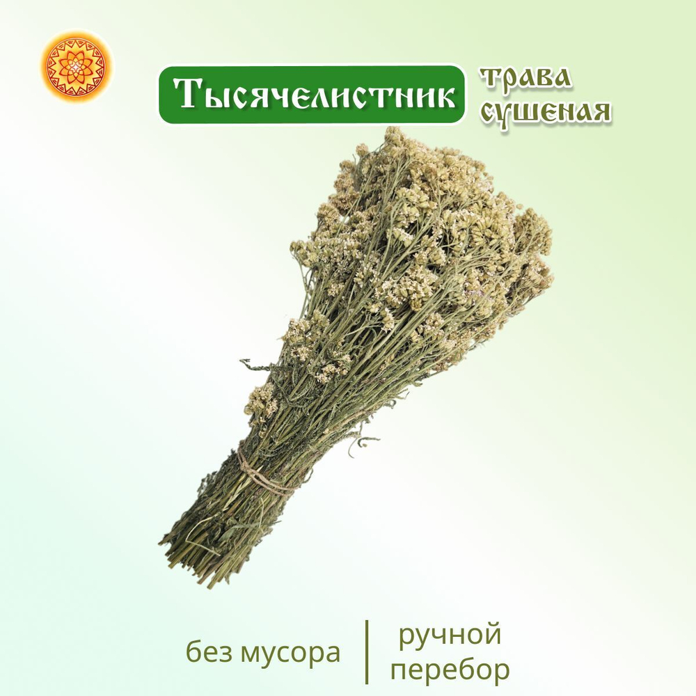 Тысячелистник пучок.
