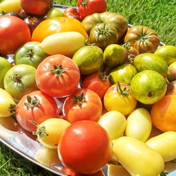 НОВИНКИ 2026!