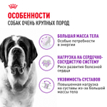 Royal Canin GIANT ADULT питание д/взрослых собак очень крупных размеров 15кг