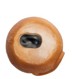 MC-200/3 Копилка «Мышонок»