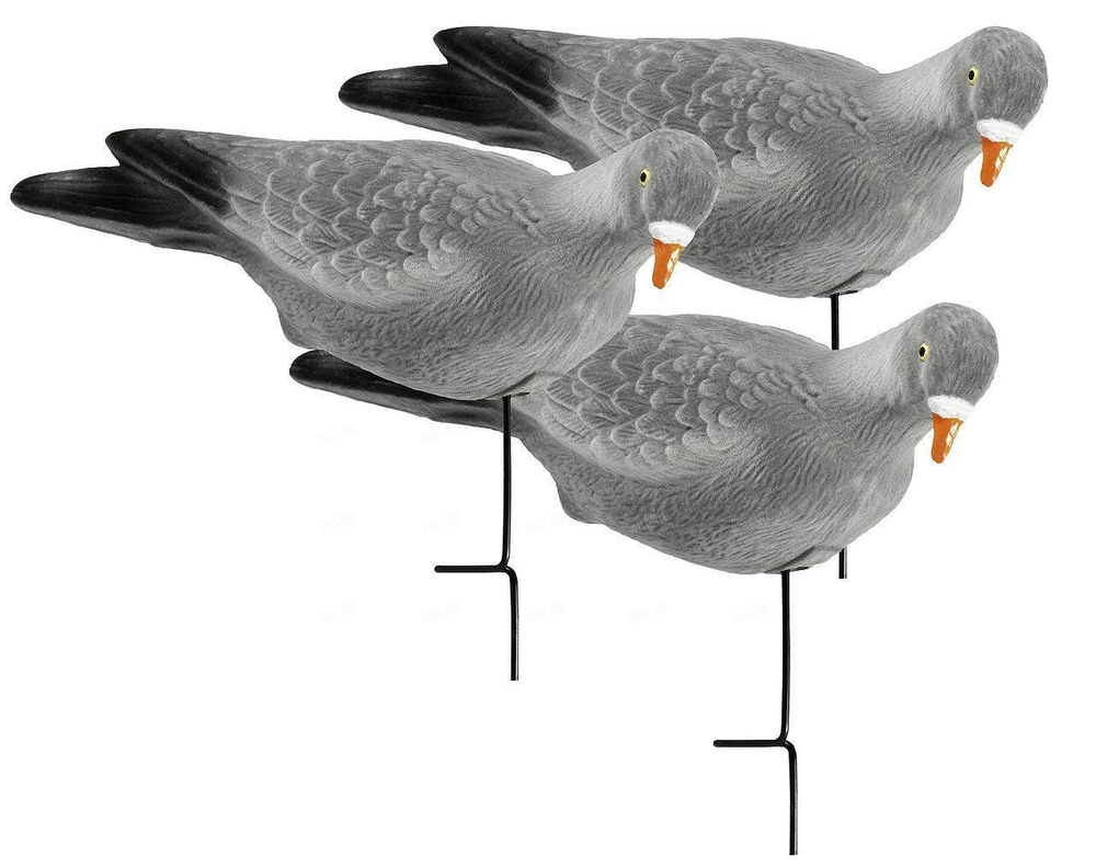 Чучела голубя Lucky Duck (3 шт.)