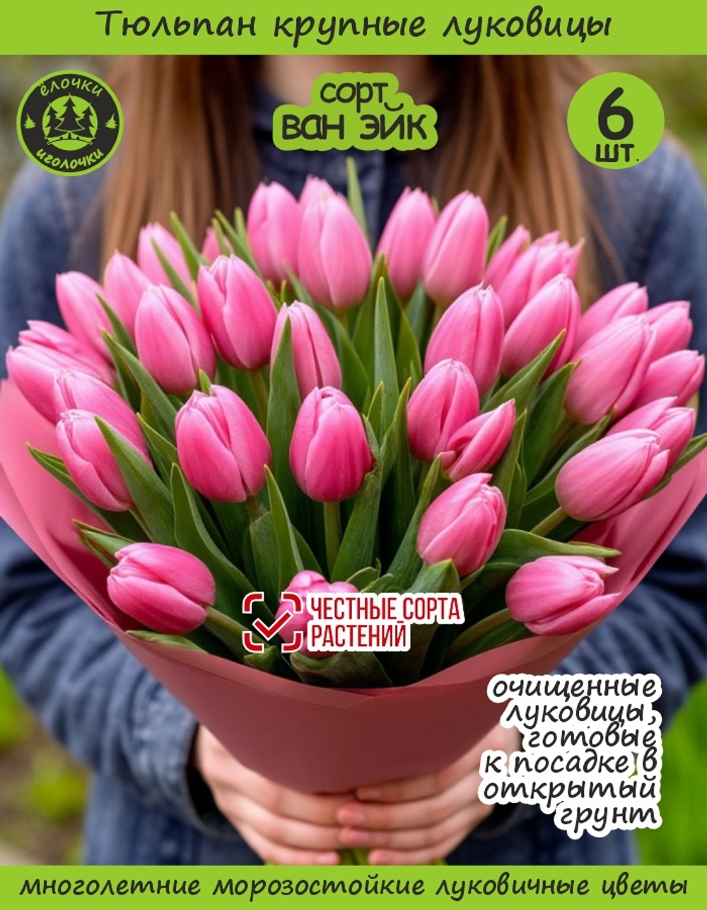 Тюльпан Луковица, Ван Эйк 6 шт, разбор 12+