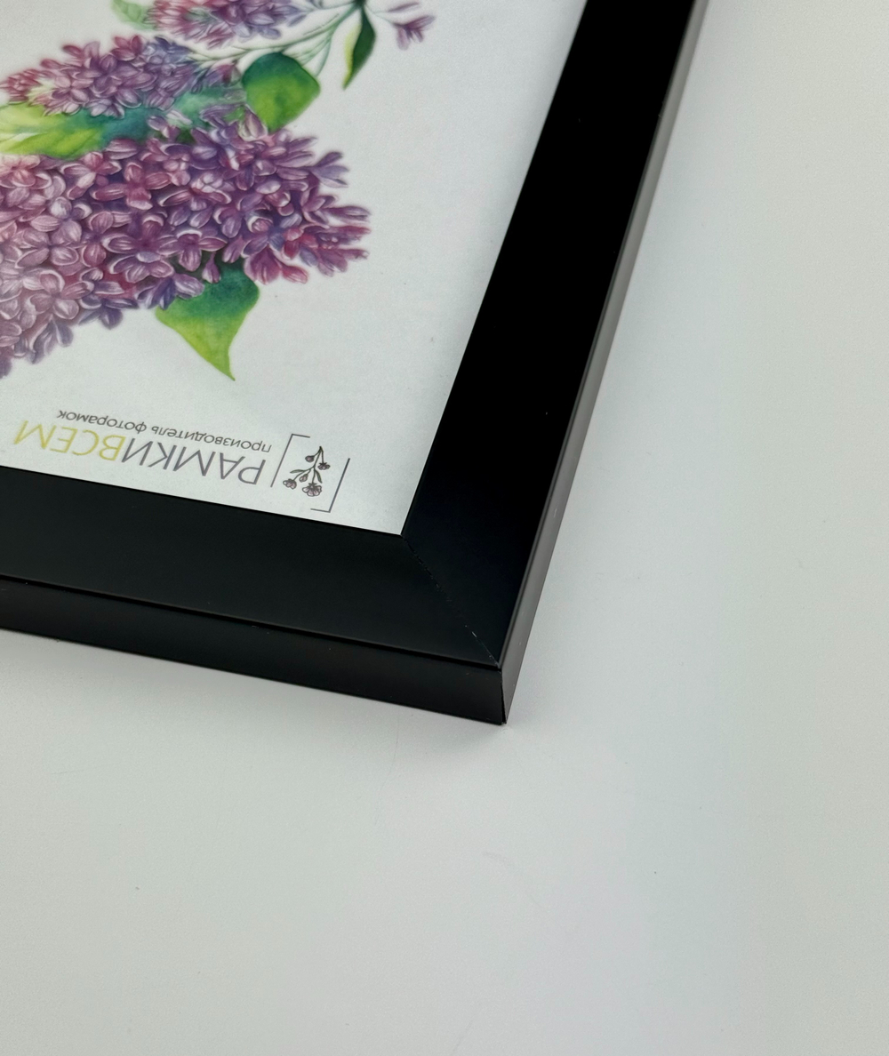 Фоторамка 15х21 см черная, без фактуры, арт. 1521.РУ2875