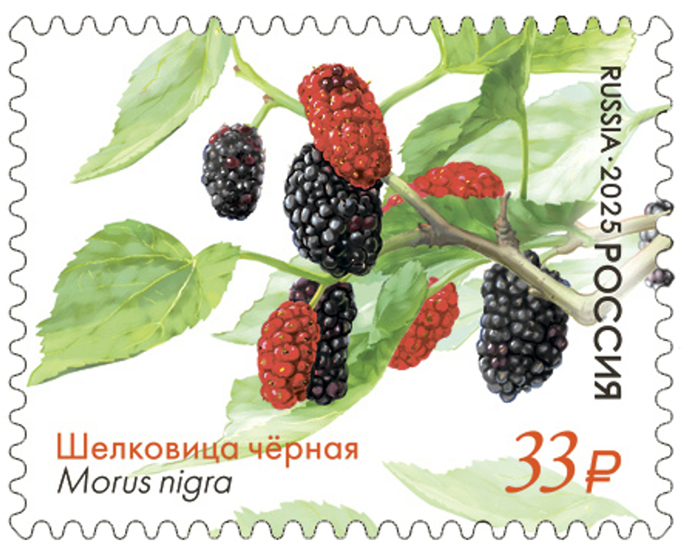 Марка номиналом 33 рубля. Растения Крымского полуострова