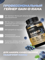 Гейнер высокобелковый / черничный йогурт / 1500 гр 15 порций