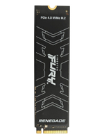 Kingston FURY Renegade 1 ТБ Внутренний SSD-диск M.2 PCIe 4.0 NVMe (SFYRS/1000G)