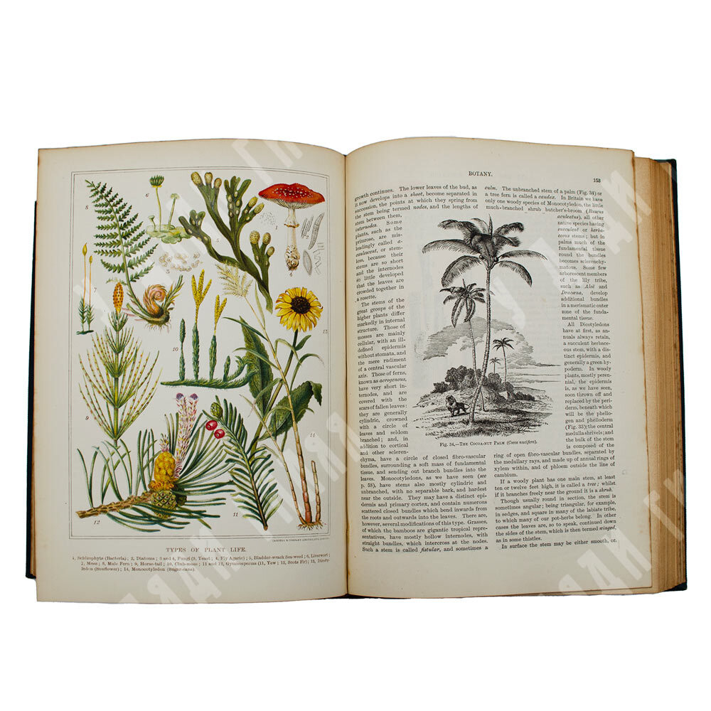 The New Popular Educator. Новый популярный педагог -. в 8 т., 1-8т. -Лондон. Cassell, Limited. 1899